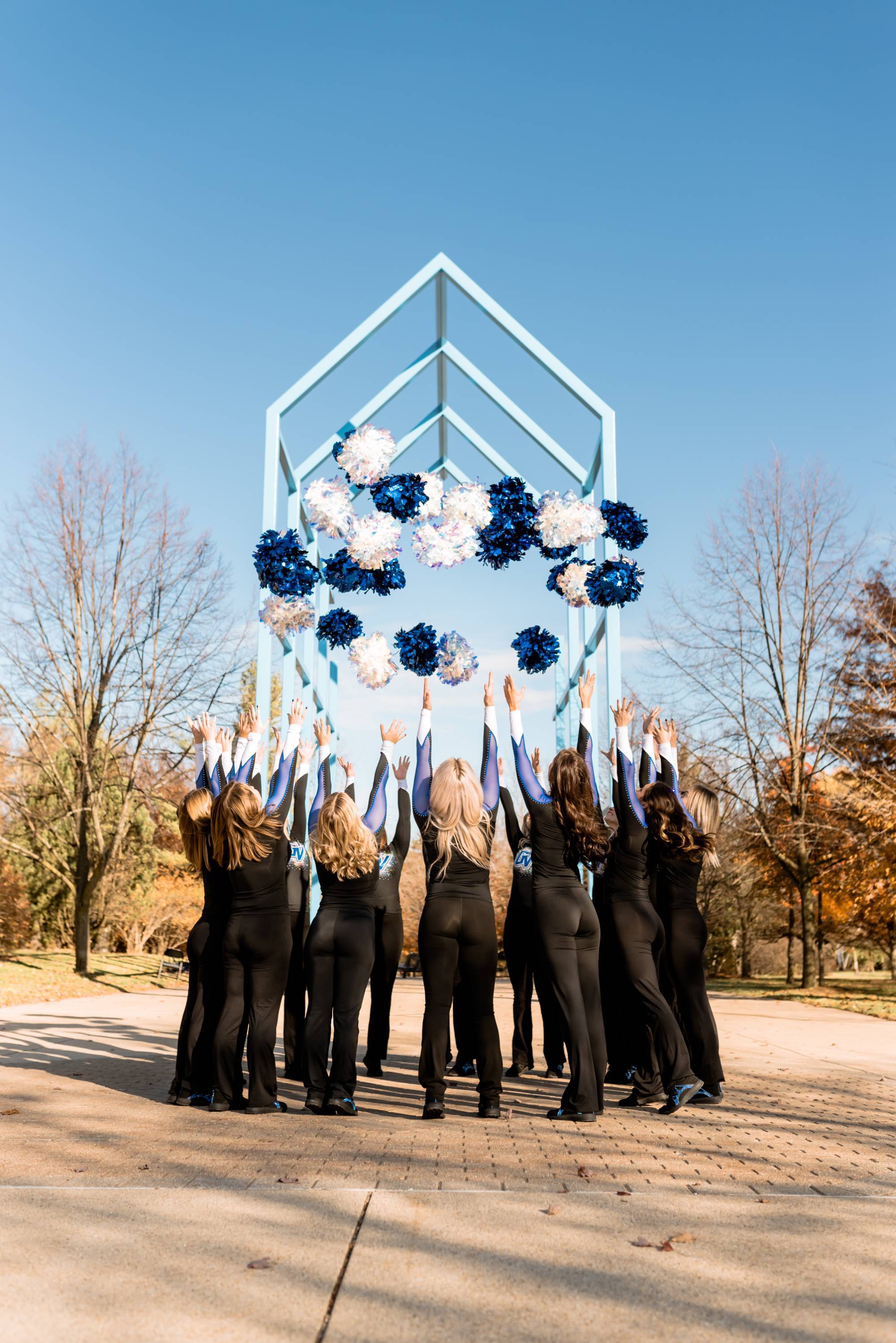 Pompon Team